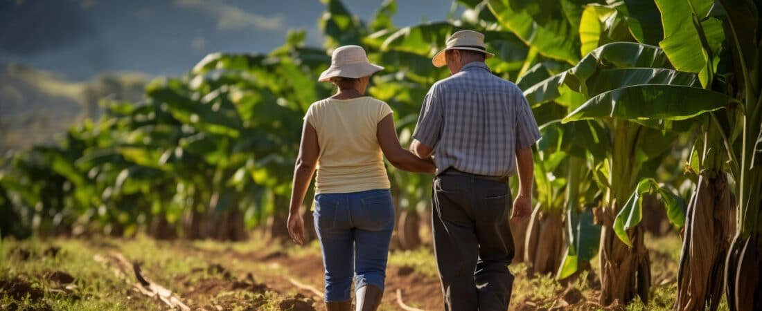 Aposentadoria pelo fundo rural: quem tem direito e como comprovar o trabalho no campo